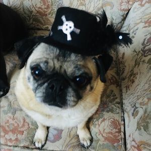 2 Dog Hats, Felt Skull Clip On Hat & Satin Headband Hat